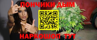МДПВ Будённовск
